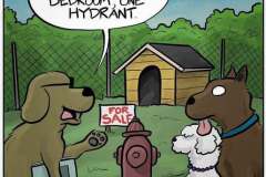 493680991_10161494175819506_5968100557207457539_n