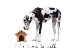 553089344_10162178492984506_806322754390946341_n