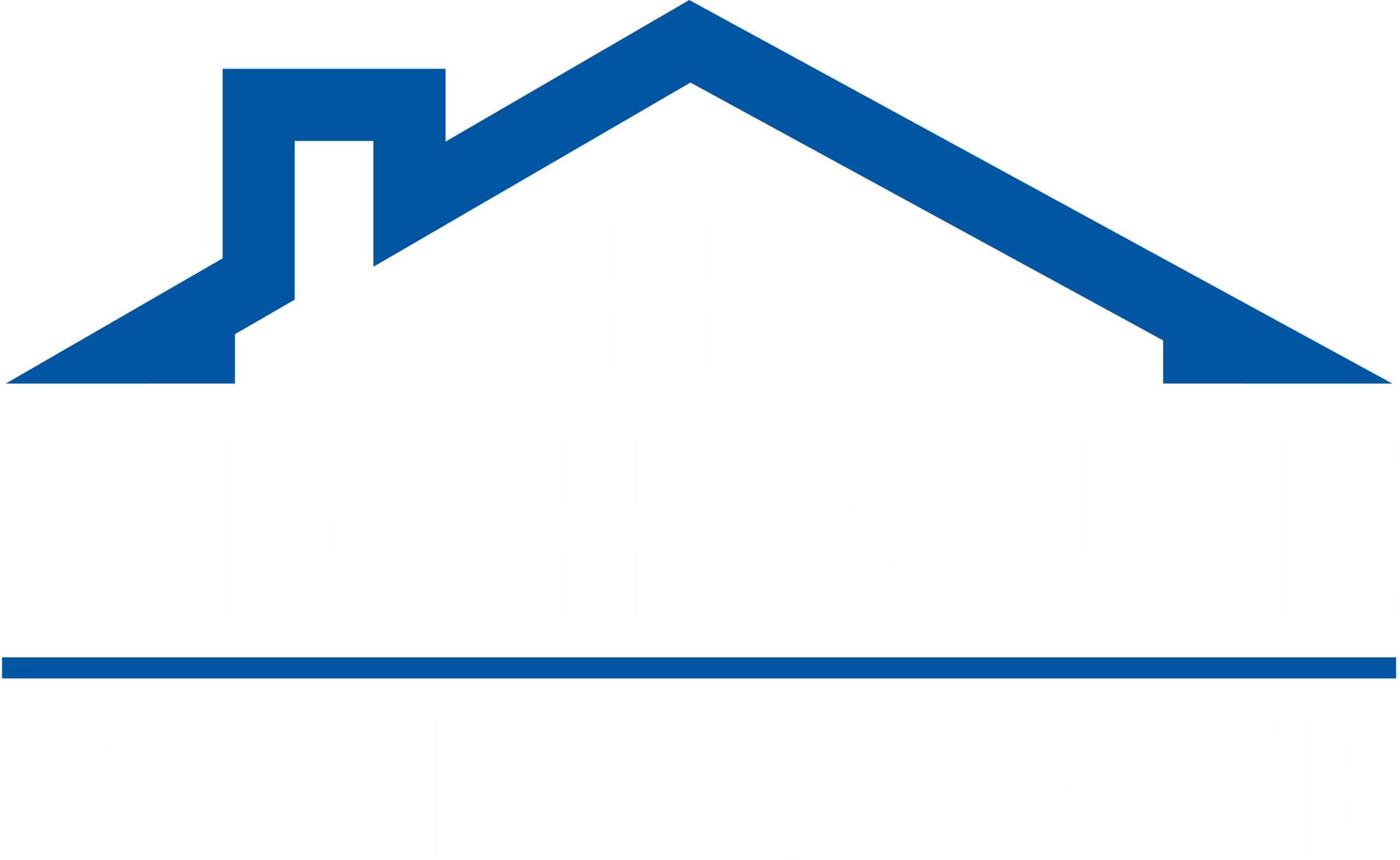 Big House Real Estate logo